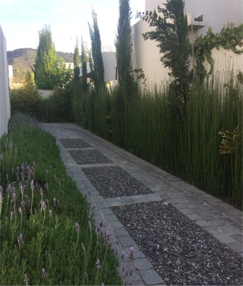 ACCESOS Y COLOR EN PAISAJISMO 1