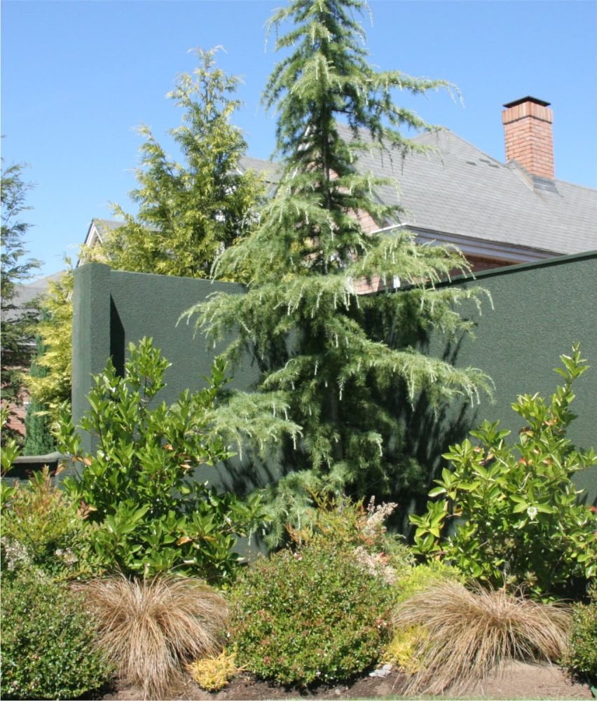 PAISAJISMO SUREÑO - IX REGIÓN 1